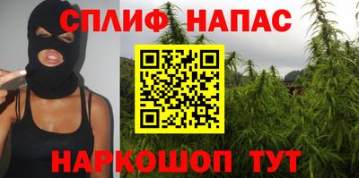 гашик Гагарин